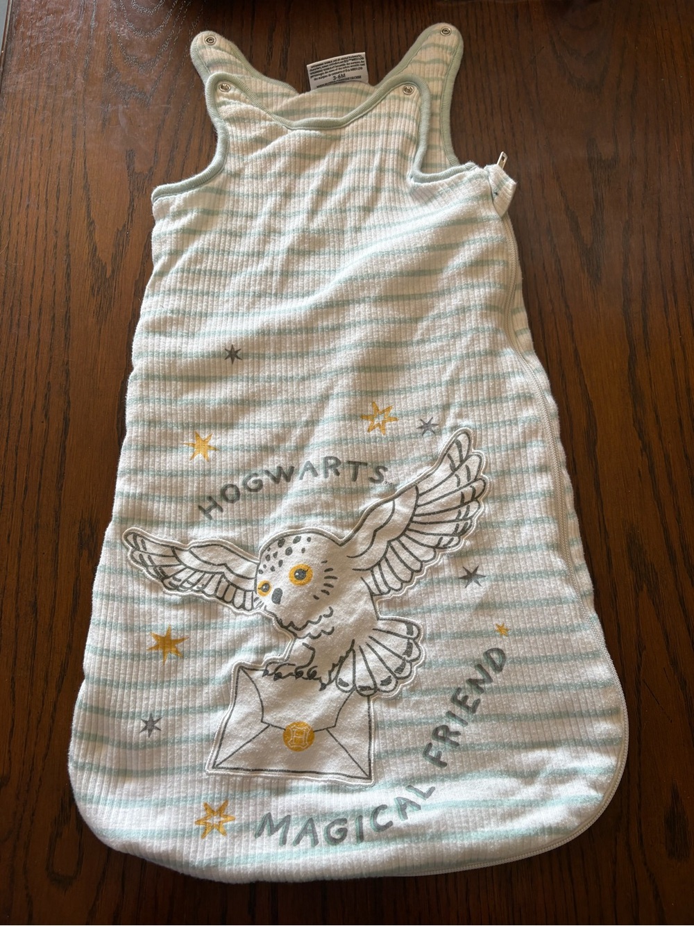 Hogwarts Magical Friend Baby Sleep Sack in Mint Stripe